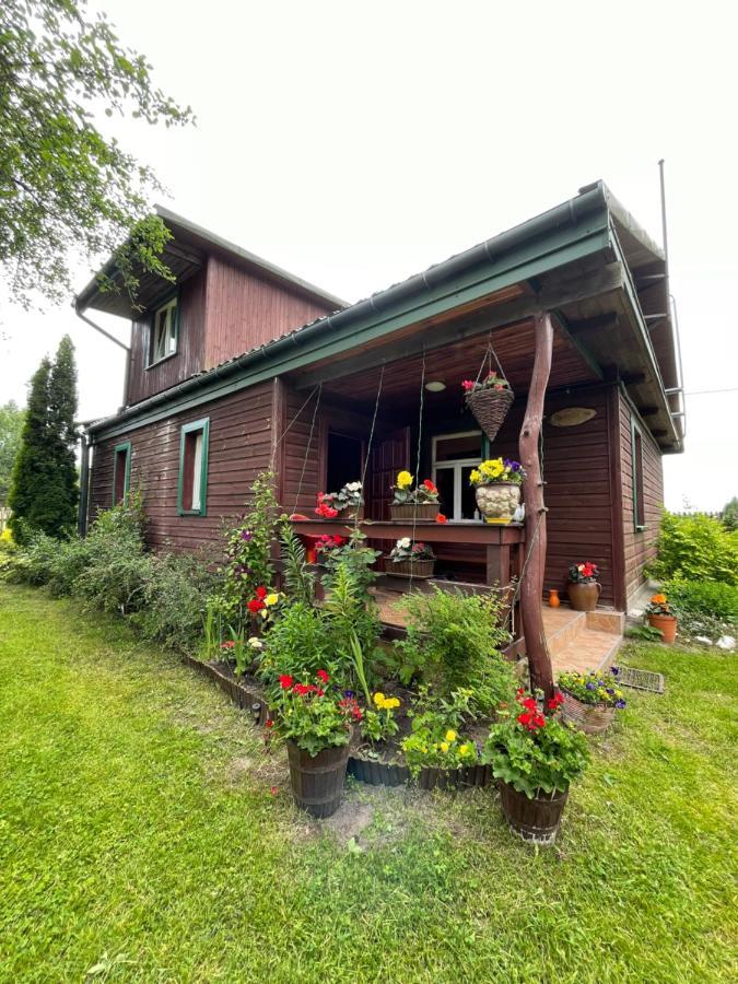 Dom Na Skraju Puszczy Bialowieskiej * Narewka