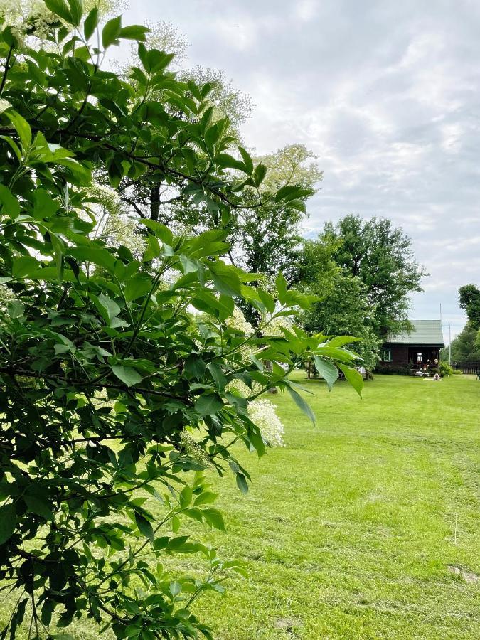 Dom Na Skraju Puszczy Bialowieskiej Ferienhaus Narewka