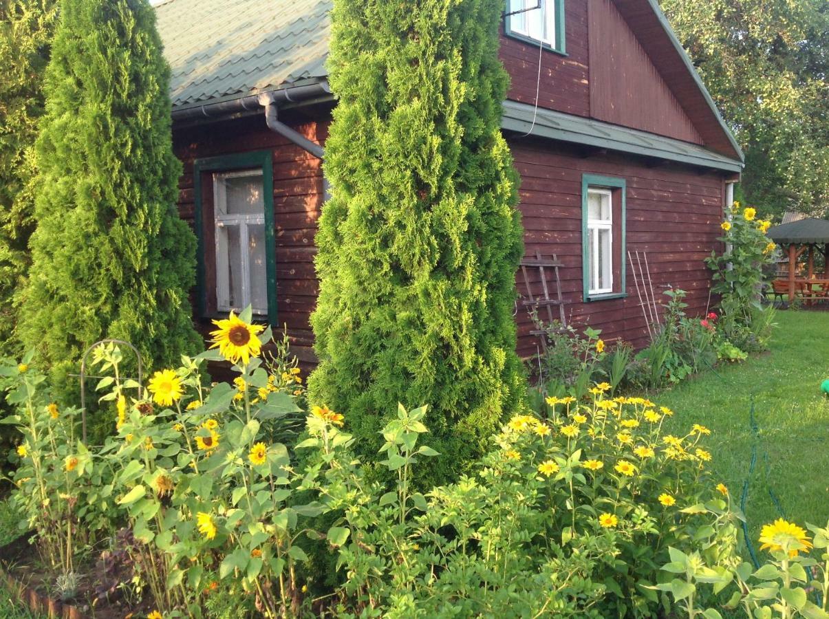 Dom Na Skraju Puszczy Bialowieskiej Ferienhaus *