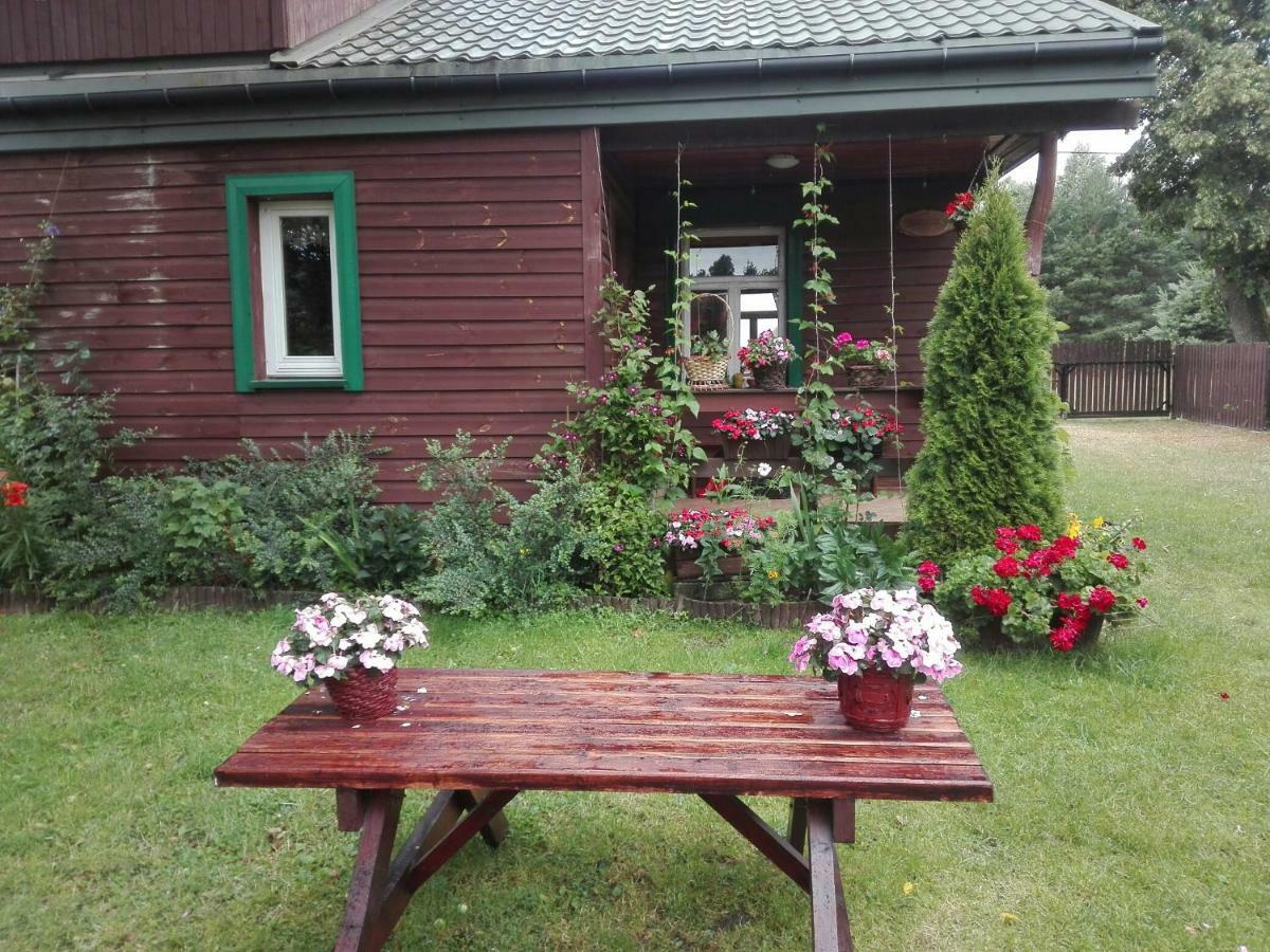 Dom Na Skraju Puszczy Bialowieskiej Ferienhaus